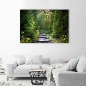Obraz na plátně Krajina GREEN FOREST - 60x40 cm