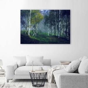 Obraz na plátně Březový les v mlze Krajina - 60x40 cm