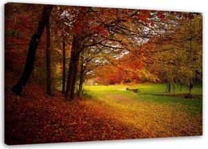 Obraz na plátně Lesní listí podzim - 60x40 cm