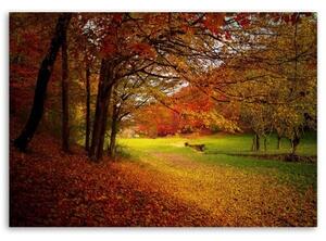 Obraz na plátně Lesní listí podzim - 60x40 cm