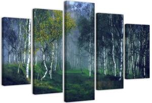 Obraz na plátně pětidílný Březový les v mlze Krajina - 100x70 cm