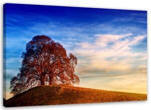 Obraz na plátně Strom na kopci Příroda - 100x70 cm