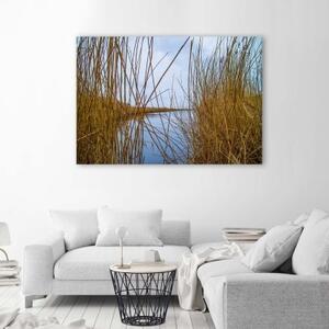 Obraz na plátně Příroda travnatého jezera - 60x40 cm