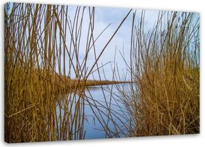 Obraz na plátně Příroda travnatého jezera - 120x80 cm