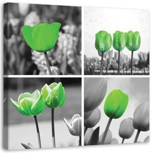 Obraz na plátně Sada zelených tulipánů - 30x30 cm