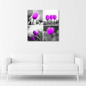 Obraz na plátně Sada fialových tulipánů - 30x30 cm