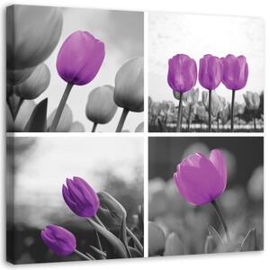 Obraz na plátně Sada fialových tulipánů - 30x30 cm