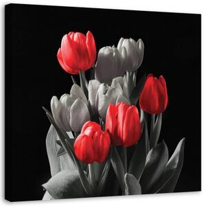 Obraz na plátně Tulipánové květiny Červená šedá - 30x30 cm