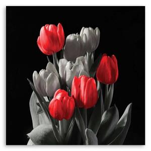 Obraz na plátně Tulipánový květ Červená šedá - 40x40 cm