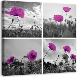 Obraz na plátně Sada fialových polních máků - 30x30 cm