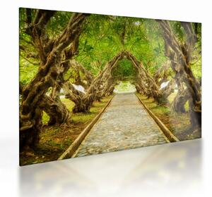 Skleněný obraz - Živý tunel z plumérií (70x50 cm)