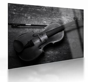 Skleněný obraz - Viola (70x50 cm)