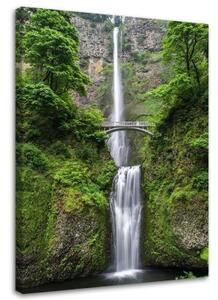 Obraz na plátně Vodopád Most Les Příroda - 70x100 cm