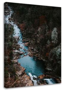 Obraz na plátně Lesní potok Hory Příroda - 80x120 cm