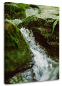 Obraz na plátně Příroda říčních kamenů - 70x100 cm