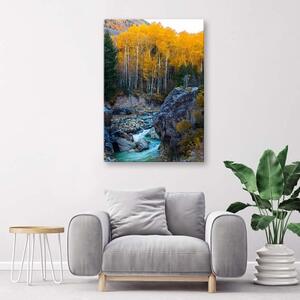 Obraz na plátně Příroda potočního lesa - 60x90 cm