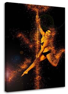Obraz na plátně Dancer Gold - 80x120 cm