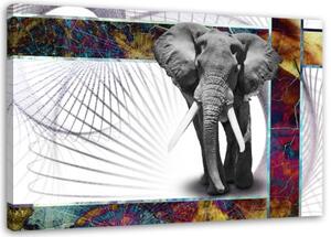 Obraz na plátně Sloní zvířata - 90x60 cm