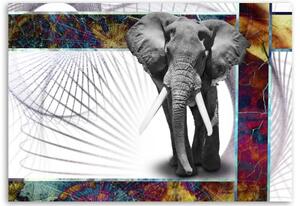 Obraz na plátně Sloní zvířata - 60x40 cm