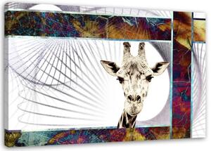 Obraz na plátně Zvířata žirafy - 100x70 cm