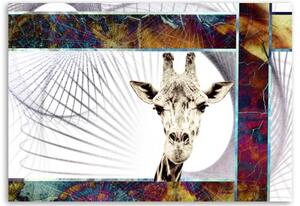 Obraz na plátně Zvířata žirafy - 120x80 cm