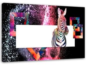 Obraz na plátně Zvířata zebry - 100x70 cm