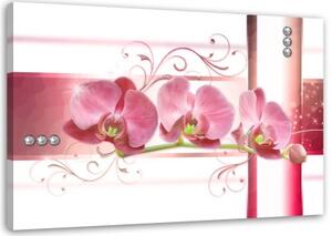 Obraz na plátně Růžová květina Orchidej - 120x80 cm