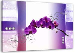 Obraz na plátně Orchidej Květiny Wellness Fialová - 100x70 cm