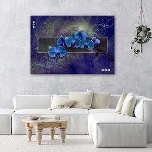 Obraz na plátně Orchidej Květina Modrá - 90x60 cm