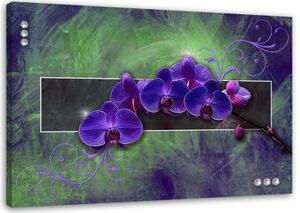 Obraz na plátně Orchidej Květina Příroda Fialová - 120x80 cm