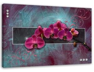 Obraz na plátně Fuchsiová orchidej Květina - 100x70 cm