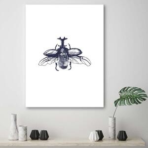 Obraz na plátně Brouk Hmyz Příroda Černobílý - 80x120 cm