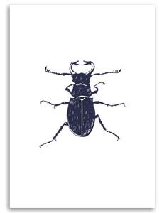 Obraz na plátně Hmyz - 40x60 cm