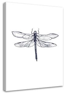 Obraz na plátně Vážka Příroda Hmyz - 80x120 cm