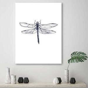 Obraz na plátně Vážka Příroda Hmyz - 40x60 cm