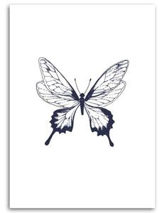 Obraz na plátně Malovaný motýl Černá a bílá - 70x100 cm