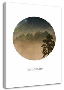 Obraz na plátně Mlha Lesní kruh Příroda - 80x120 cm