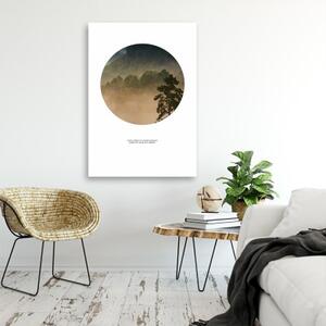Obraz na plátně Les v mlze Příroda - 40x60 cm