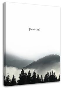 Obraz na plátně Horský les v mlze - 40x60 cm