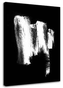 Obraz na plátně Abstrakce Černobílá - 60x90 cm