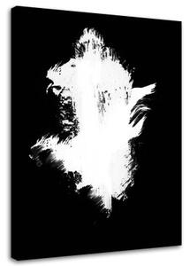 Obraz na plátně Abstrakce Černobílá - 70x100 cm