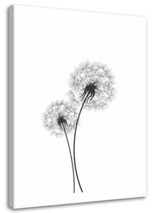 Obraz na plátně Foukač Květina Příroda - 60x90 cm