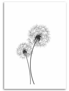 Obraz na plátně Foukač Květina Příroda - 40x60 cm