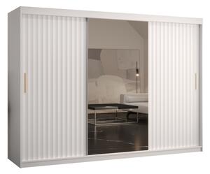 Šatní skříň se zrcadlem 250 cm Riana Wa 2 250 (bílá)