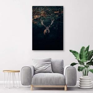 Obraz na plátně Jelen Les Příroda Zvířata - 40x60 cm