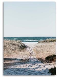 Obraz na plátně Cesta na pláž Písek - 40x60 cm