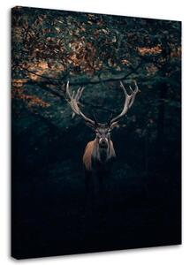 Obraz na plátně Jelen Les Příroda Zvířata - 80x120 cm