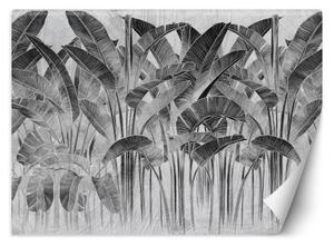 Fototapeta, Banánové listy černá a bílá - 450x315 cm