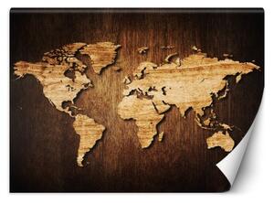 Fototapeta, Mapa světa na dřevě - 300x210 cm