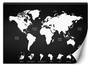 Fototapeta, Černobílá mapa světa - 450x315 cm
